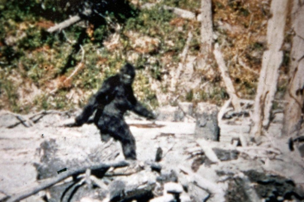 Still the best footage of a Bigfoot so far.